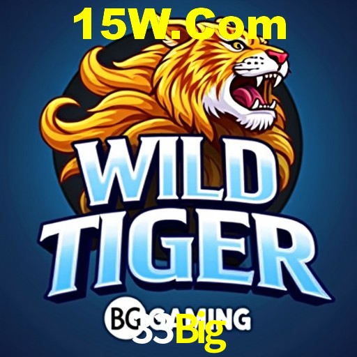 Descubra o Programa VIP da 33Big: Vantagens Exclusivas para Jogadores